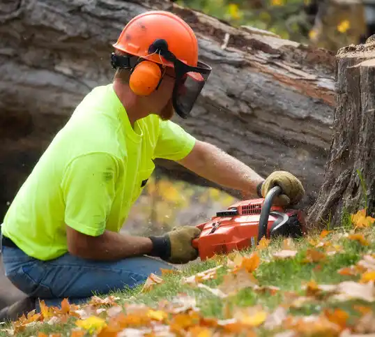 tree services Sanford